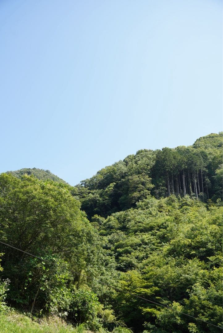 SIGMA247 F2.8DG DNArtEマウント