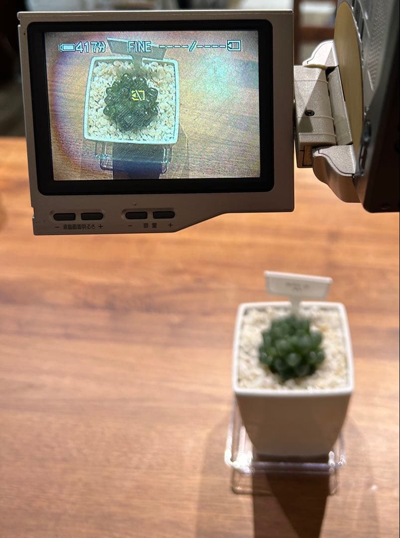 SONY DCR-TRV10 ビデオカメラ 本体　IFT-R10 IRレシーバー