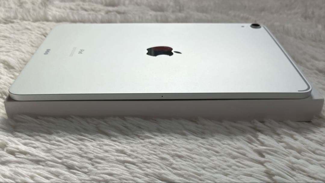 【早い者勝ち】iPad Pro 11インチ 第1世代 256GB 【すぐ発送】