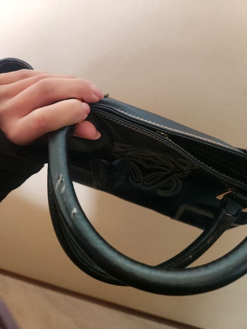 使わない為最後のお値下げ！早いもの勝ち！LOEWEハンドバッグ