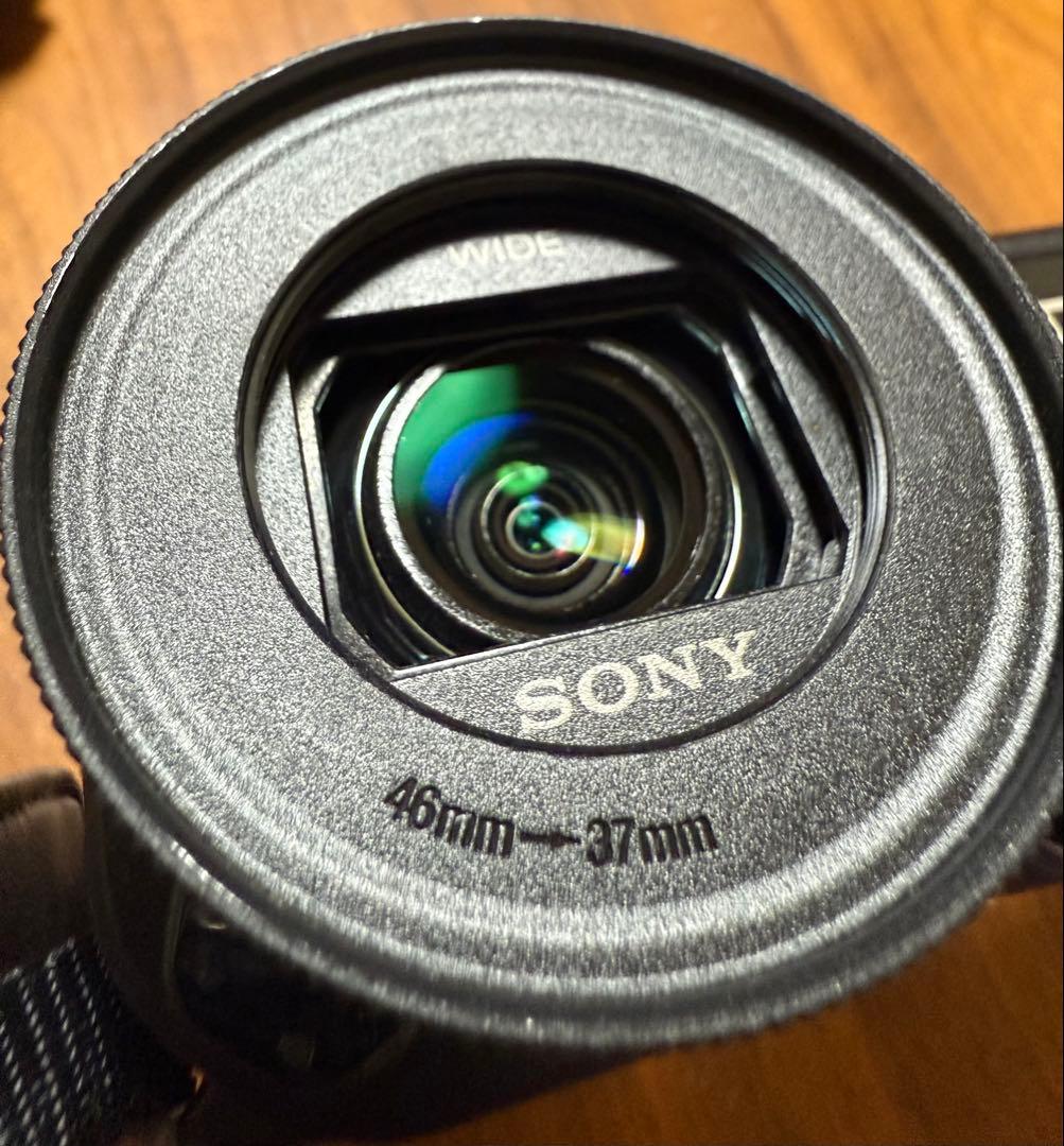 最終値下げ　SONY ビデオカメラ HDR-PJ800 2014年製 ポーチ付き