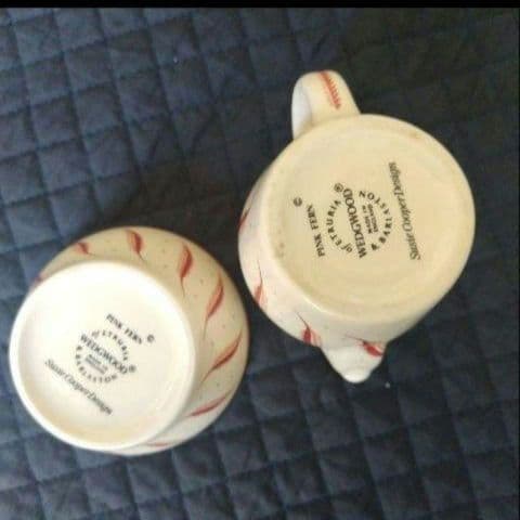 ほぼ未使用、スージークーパー「ピンクファーン」二人用ティーセット、９点セット