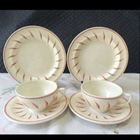 ほぼ未使用、スージークーパー「ピンクファーン」二人用ティーセット、９点セット