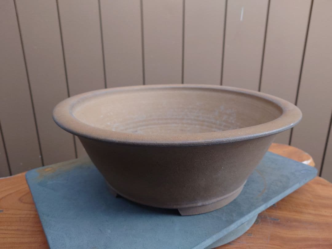 盆栽　鉢　勝山　直径41cm