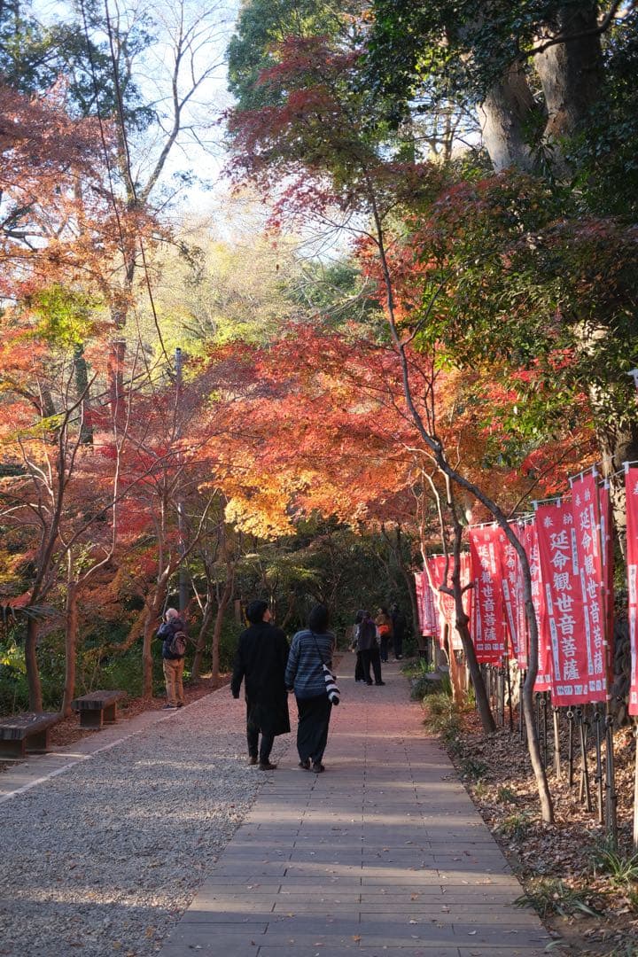 【美品】FUJIFILM X-E4 ブラックゴールド （レンズ2本＆付属品多数)