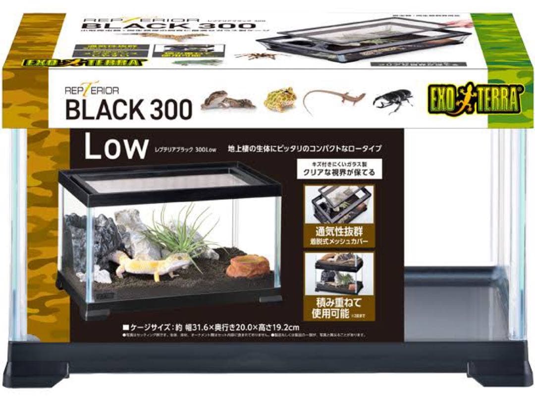 爬虫類　飼育　セット