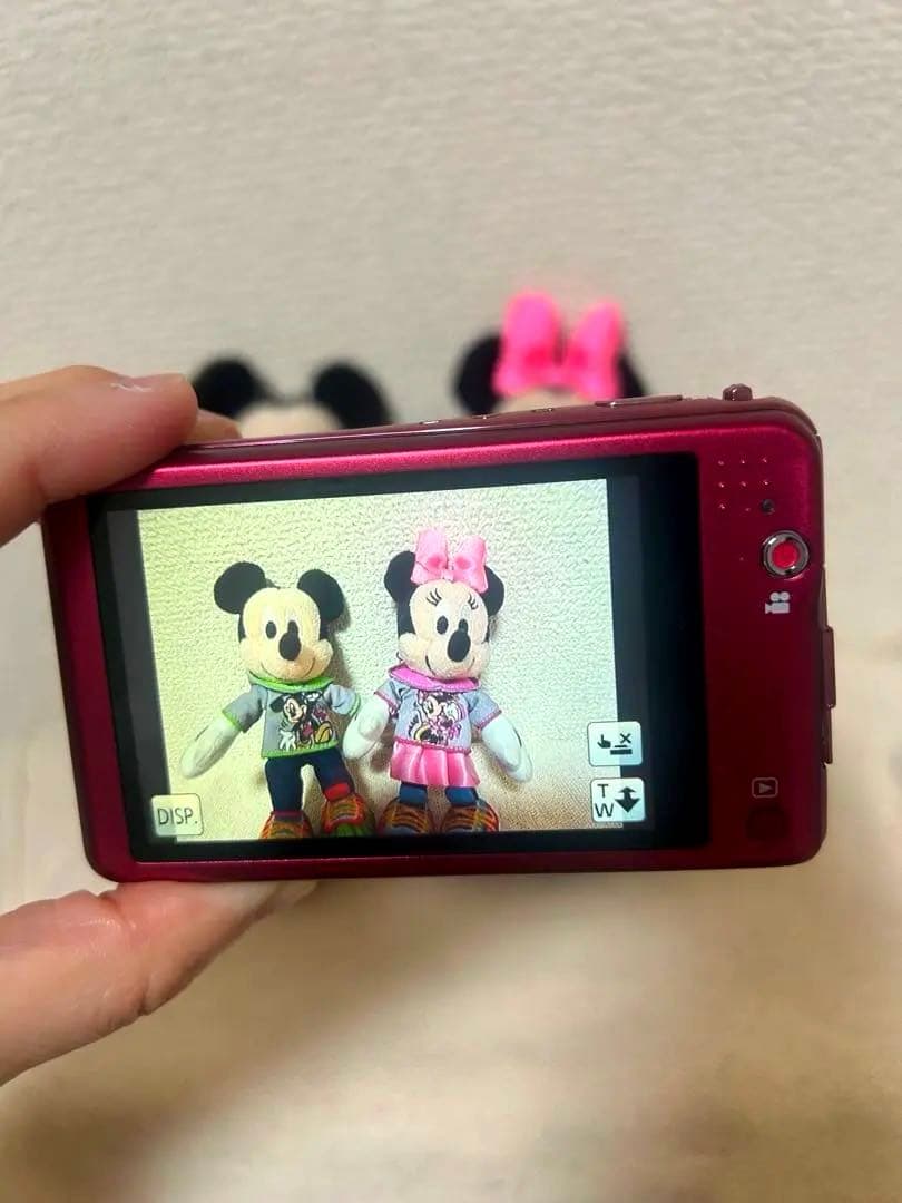 LUMIX DMC-FX80 ピンク