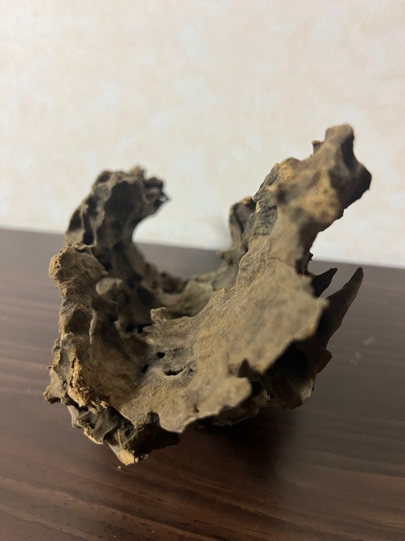 XM-367 ブランチウッド　流木　マシンガンウッド　アクアリウム　沈水確認済