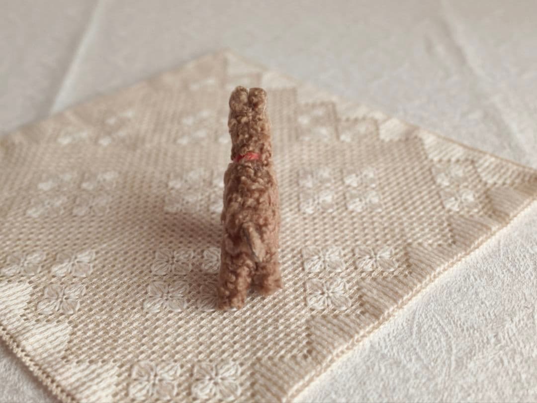 * vintage dog ❀ クルクル巻き毛がキュートな ワンちゃん