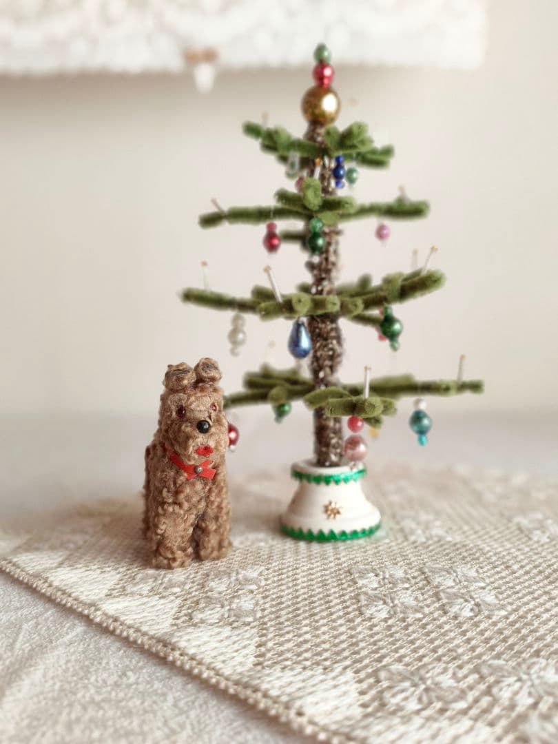 * vintage dog ❀ クルクル巻き毛がキュートな ワンちゃん