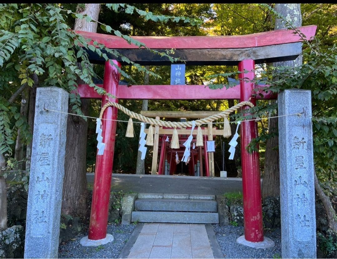 【水わらび】⭐️最強財運〜龍神様⭐️イケメン紫龍　ずっしり801g