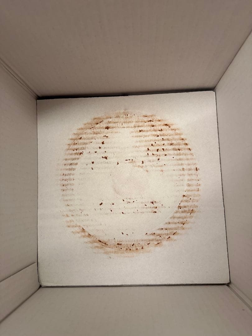 イッタラ サルパネヴァ キャセロール