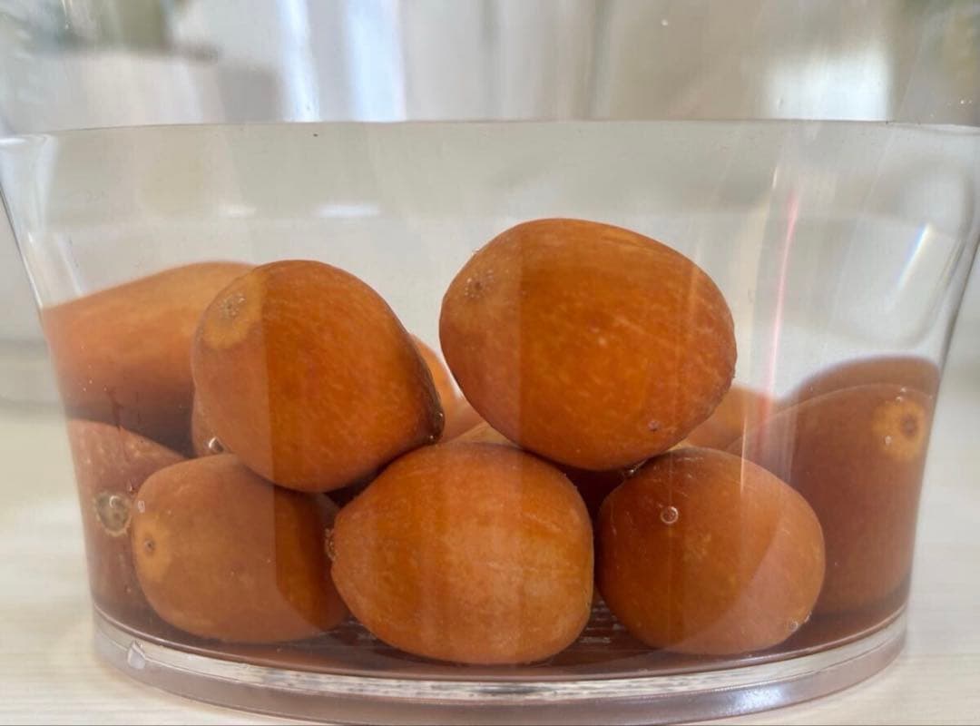 コスパ最強★超超超希少★ディオーン エデュレ 種子 50粒