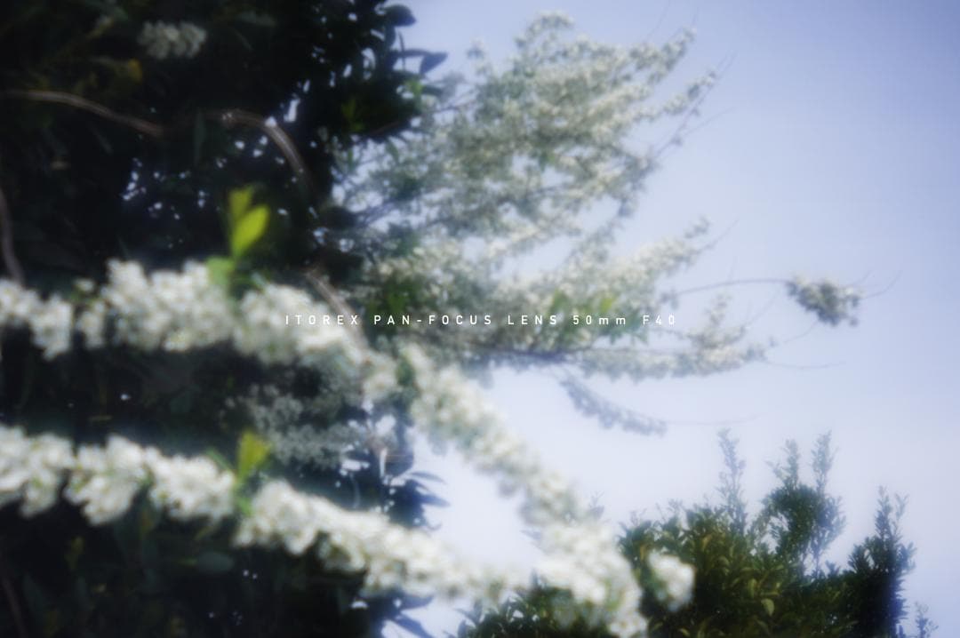 ★激レア★イトレックス PAN-FOCUS LENS 50mm Exakta