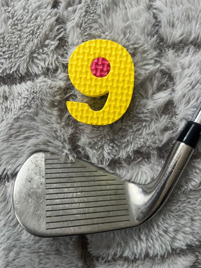 Titleist アイアンセット T300 5本 6〜P DG S200