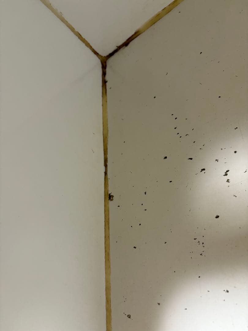 TH 大型爬虫類ケージ