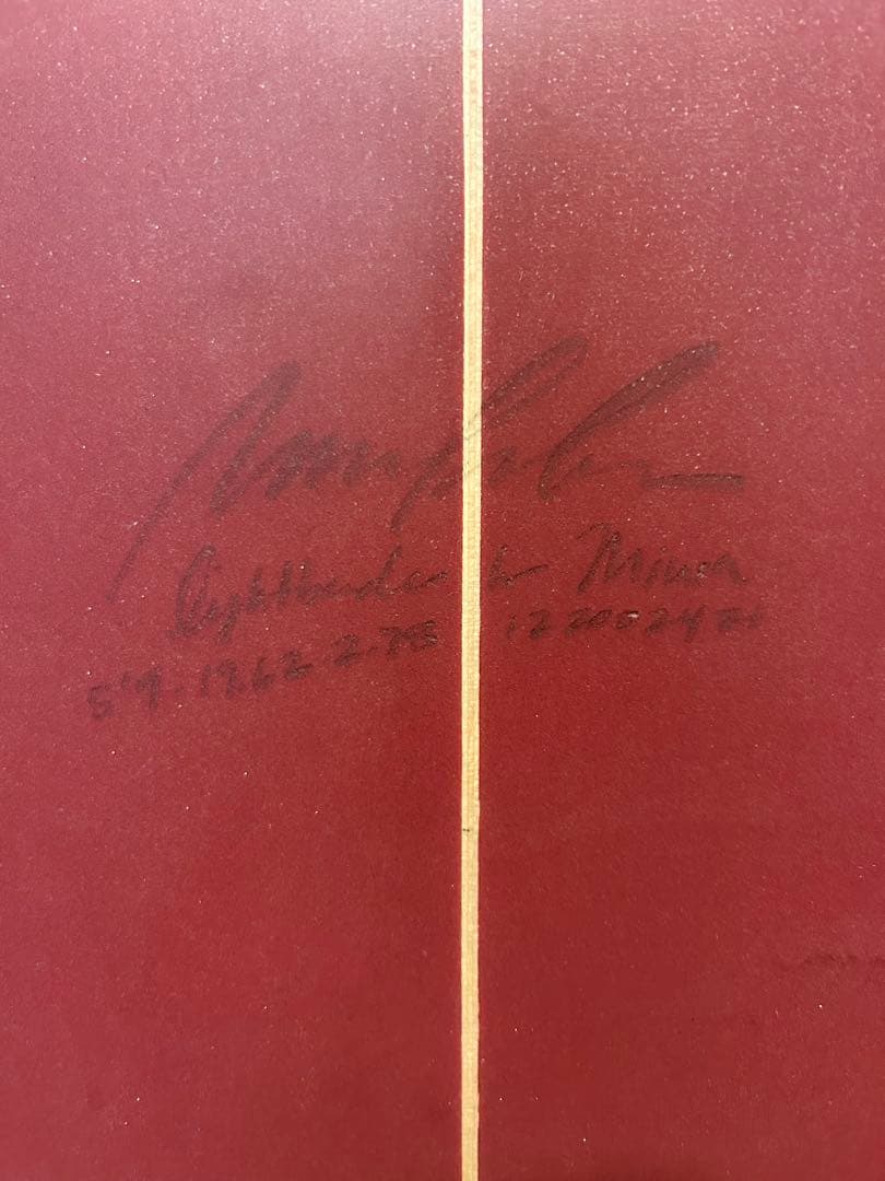 【カスタムボード】ALBUM ライトベンダー 5'9\" 1/2