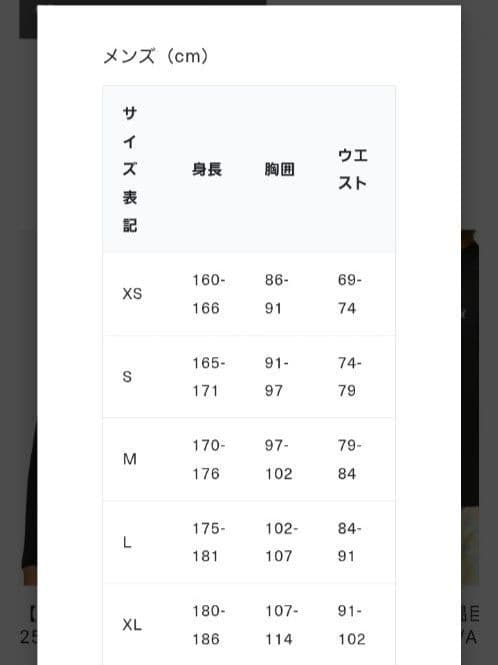 Hurley メンズ タッパー XL