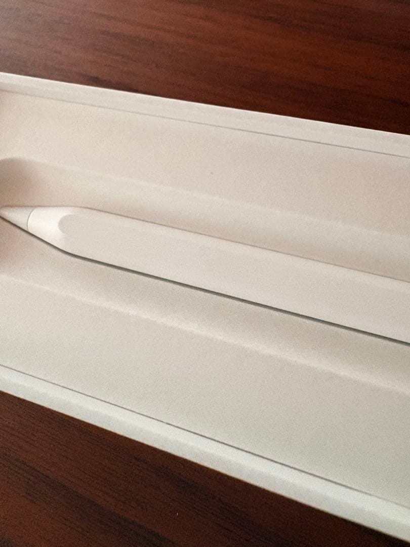 純正 Apple Pencil USB-C 箱有り アップル ペンシル