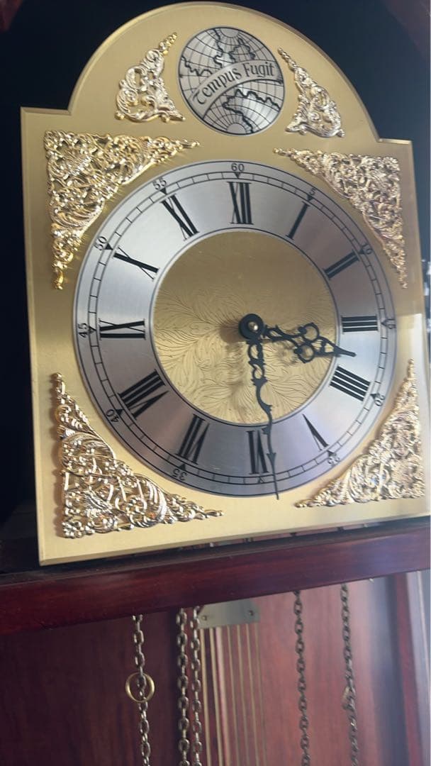 希少 Tempus Fugit ホールクロック 柱時計 アンティーク SEIKO