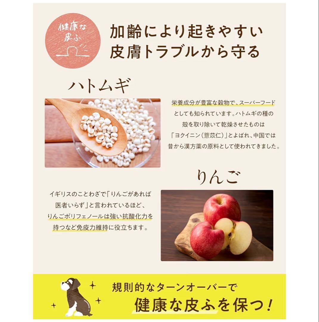 シニアのためのこのこのごはん 新品未開封2袋賞味期限2026.12.08
