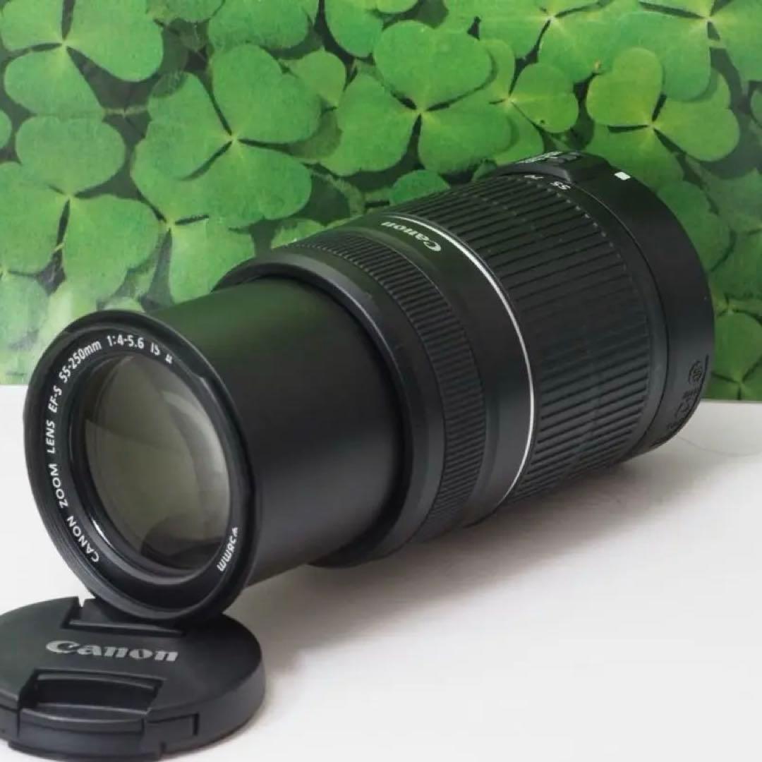 【美品】スマホへ転送も可 一眼で自撮りOK キャノンKissX5ダブルレンズ