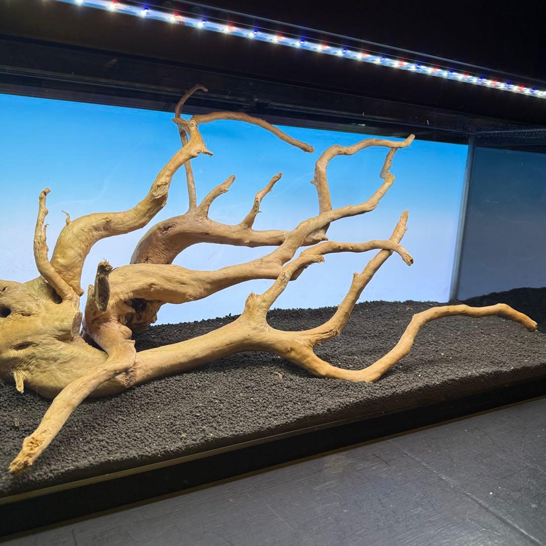 MDW-7102 ブランチウッド2本セット　流木セット　枝流木　アクアリウム