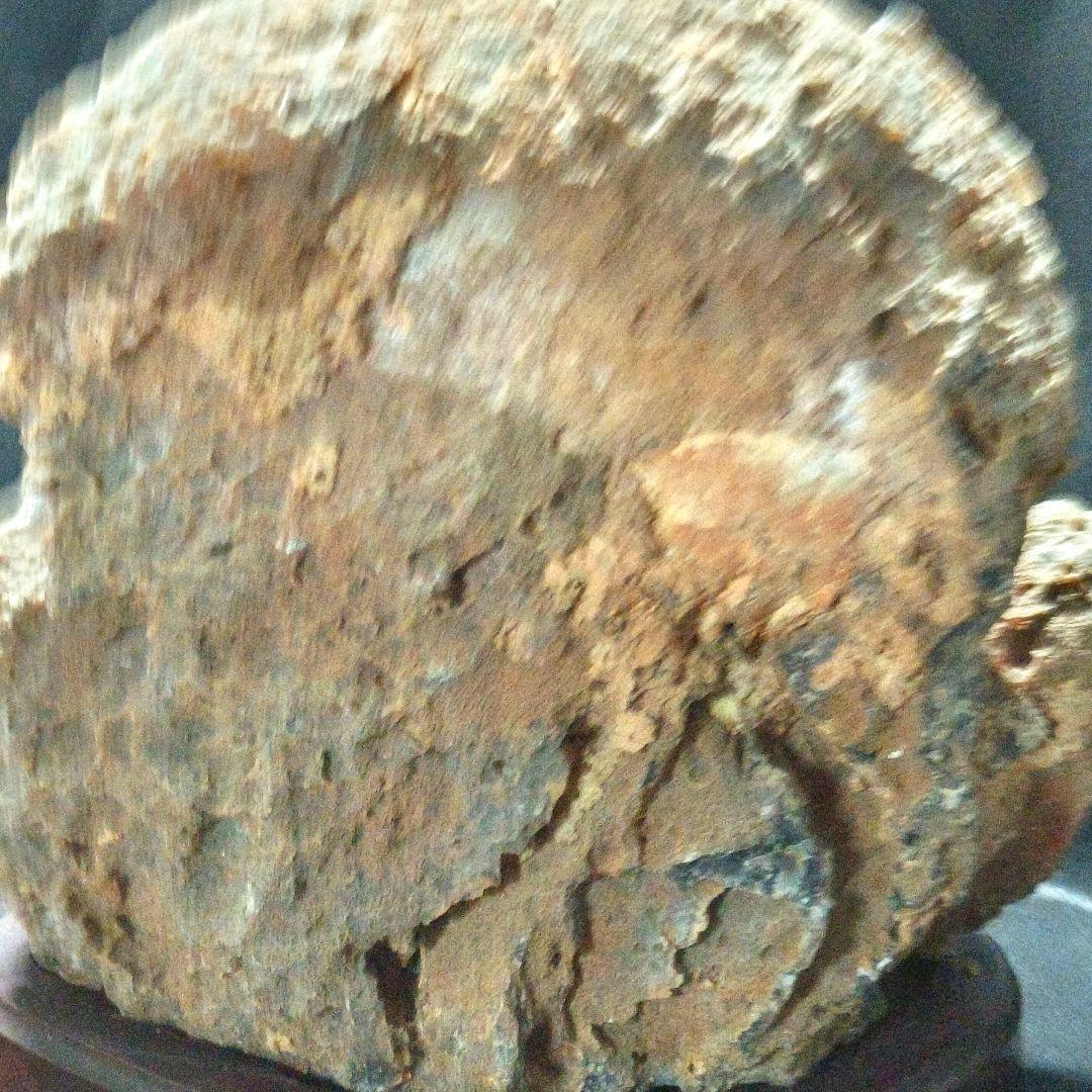 両面鑑賞石 木彫り台付メノウ 天然石瑪瑙 アゲート 風水グッズ コレクター放出