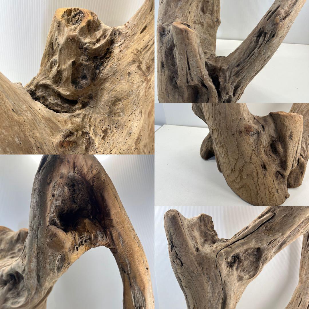 m10特大流木 アク抜き済み 爬虫類シェルター 登り木 インテリア オブジェ