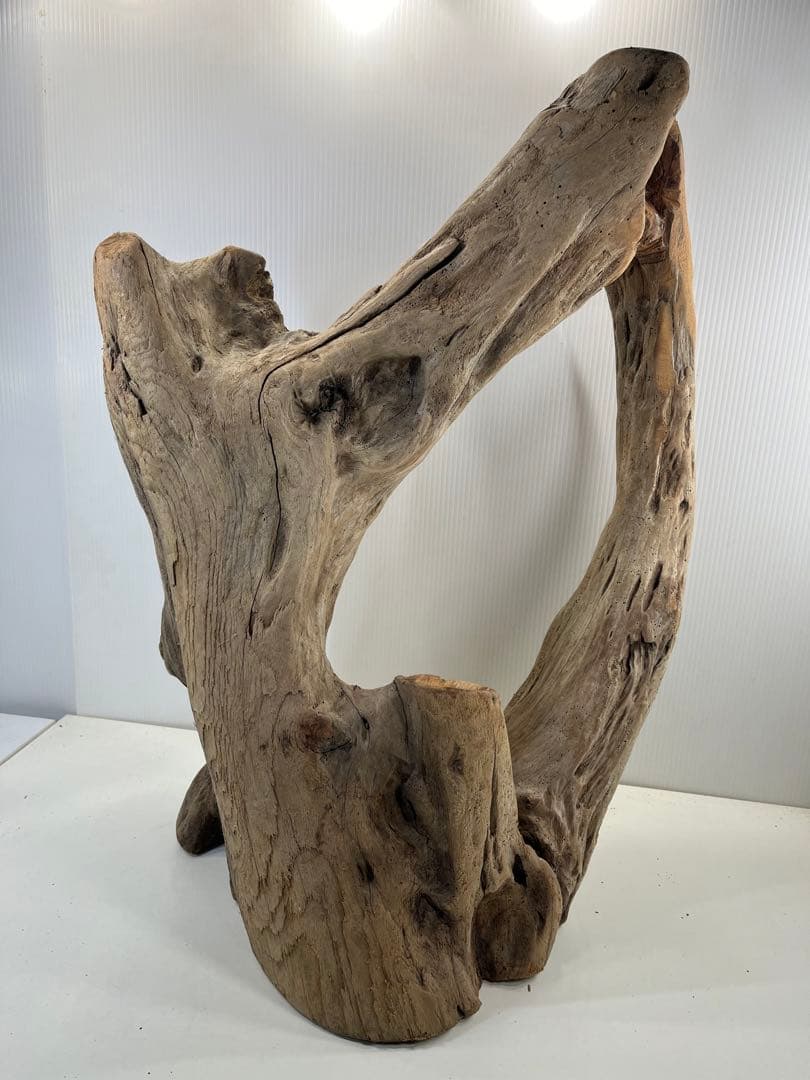 m10特大流木 アク抜き済み 爬虫類シェルター 登り木 インテリア オブジェ