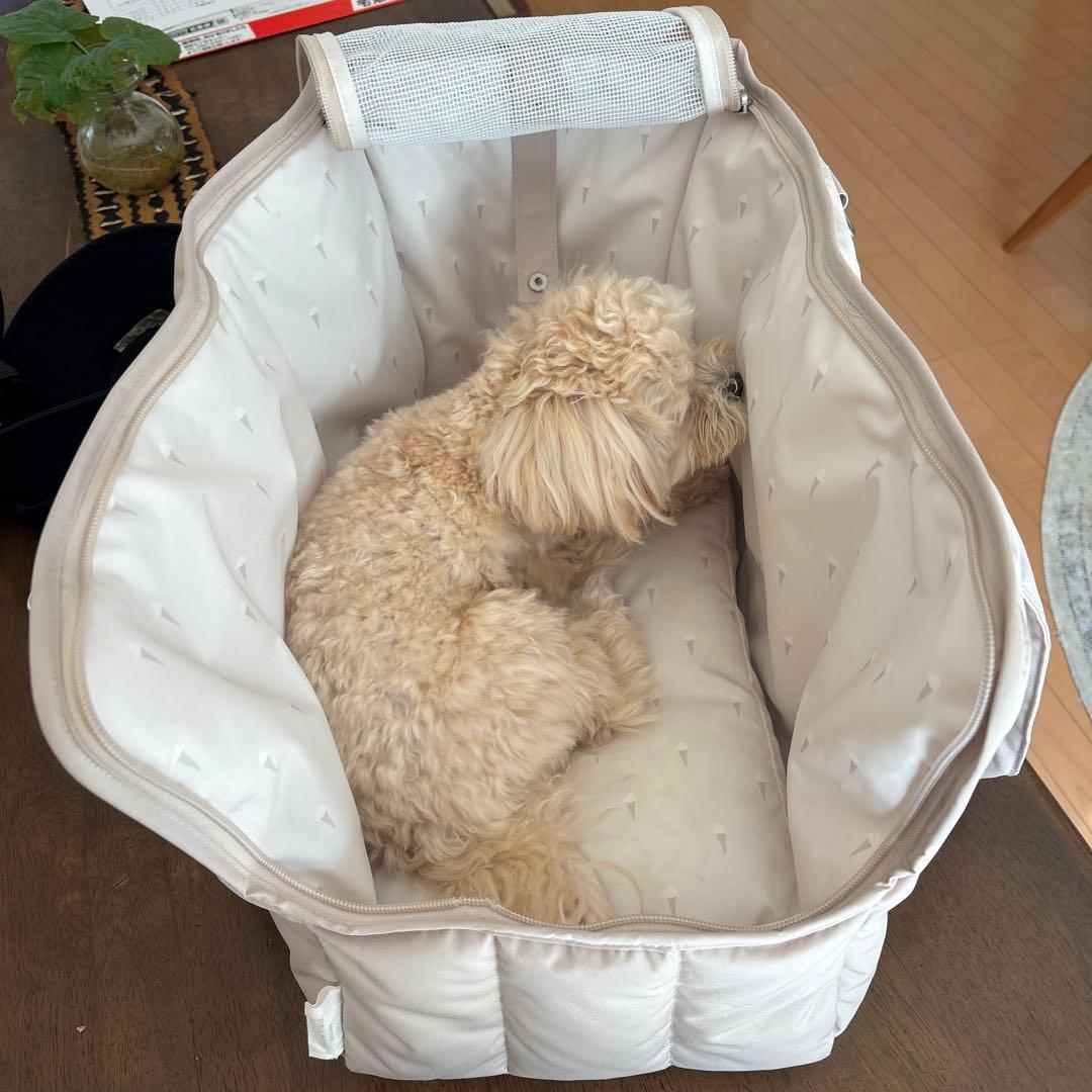 ジェラートピケ 【CAT&DOG】キルティングキャリーバック　ベージュ