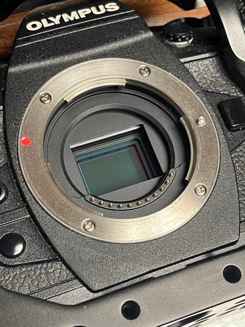 OLYMPUS OM-D E-M1 Mark II ミラーレス一眼 ボディ