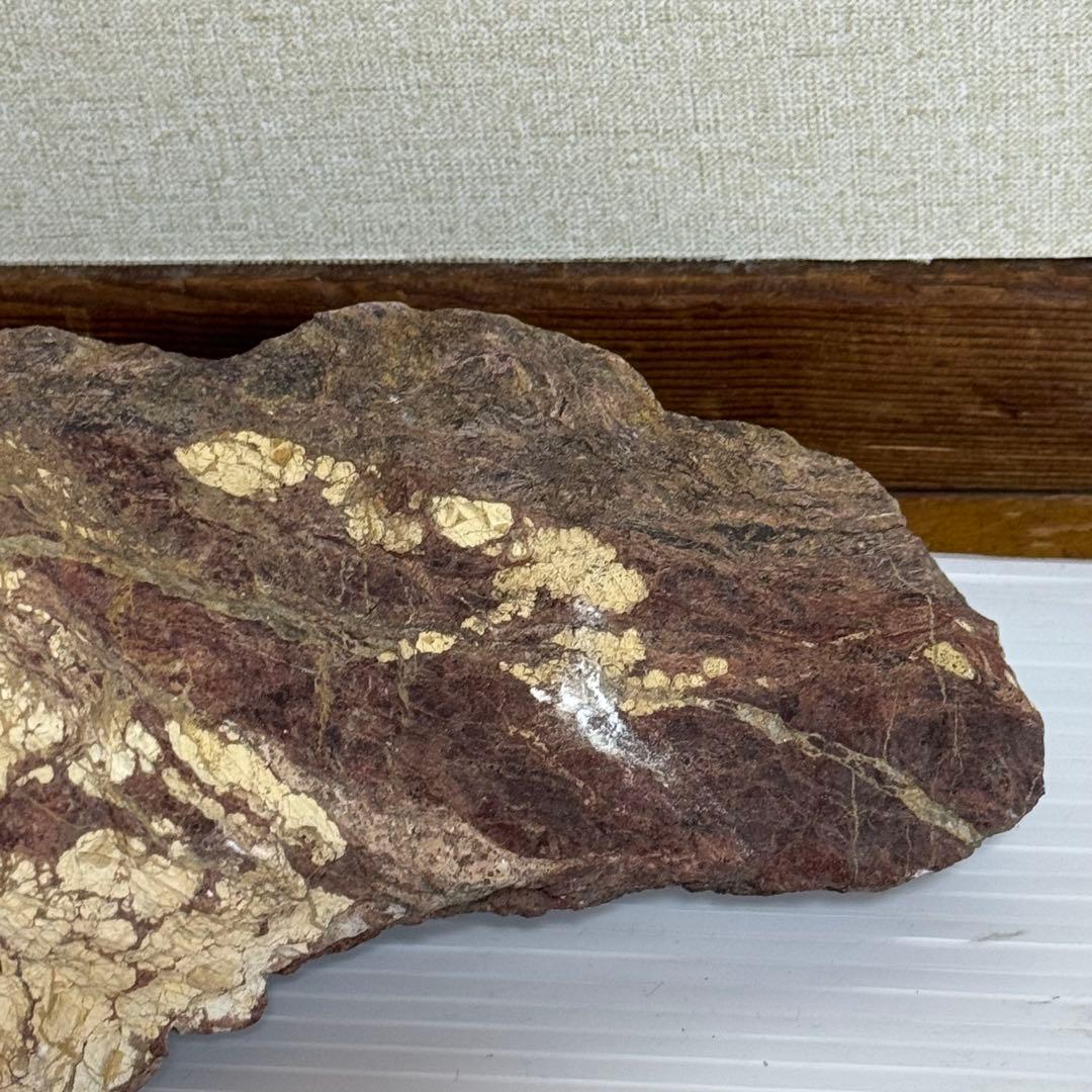 鑑賞石　化石入り？