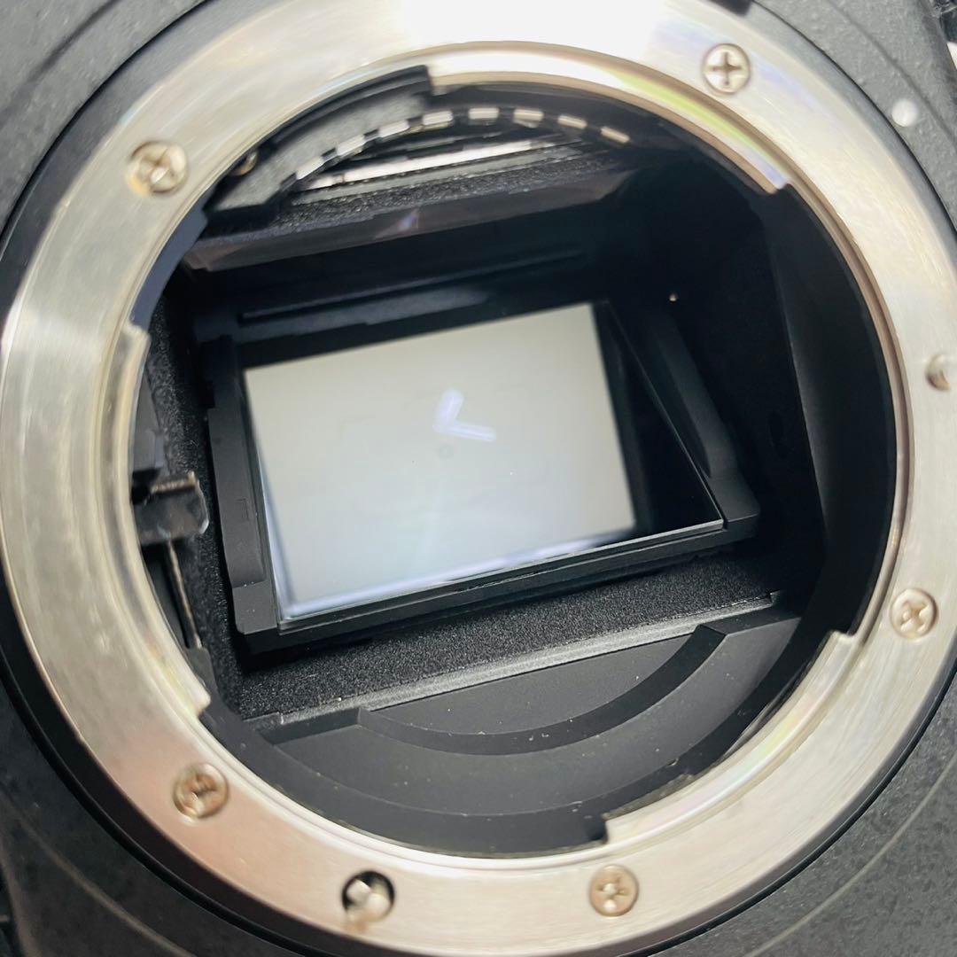 Nikon D810 ショット数1,787枚 WW7294