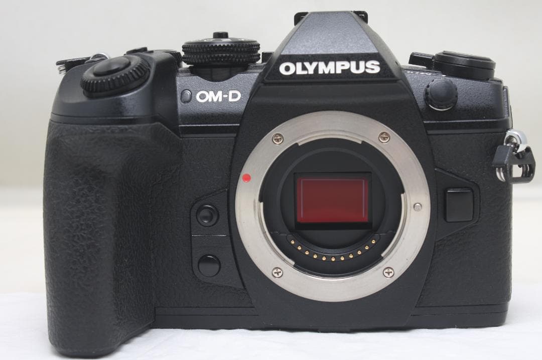 オリンパス OM-D E-M1 MARK II ボディ シャッター数888回