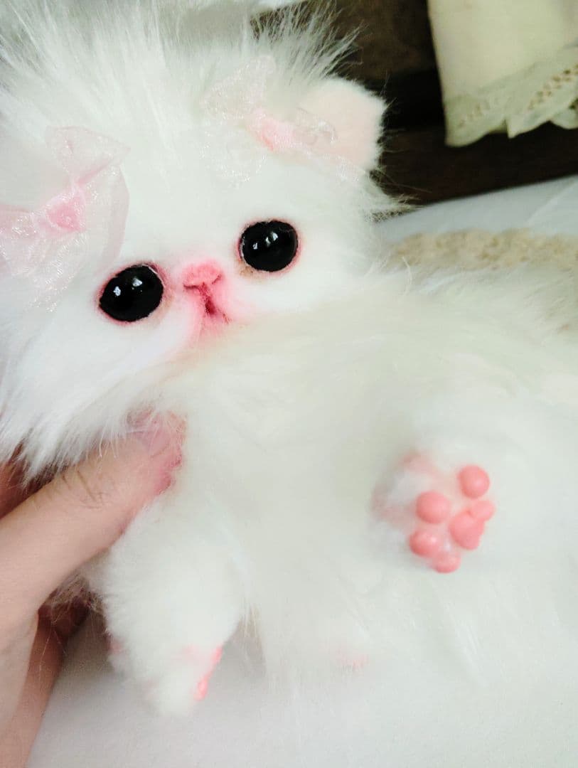 きゅるんオメメ♡子猫のレモンちゃん♡エキゾチック♡アートドール♡ぬいぐるみ♡