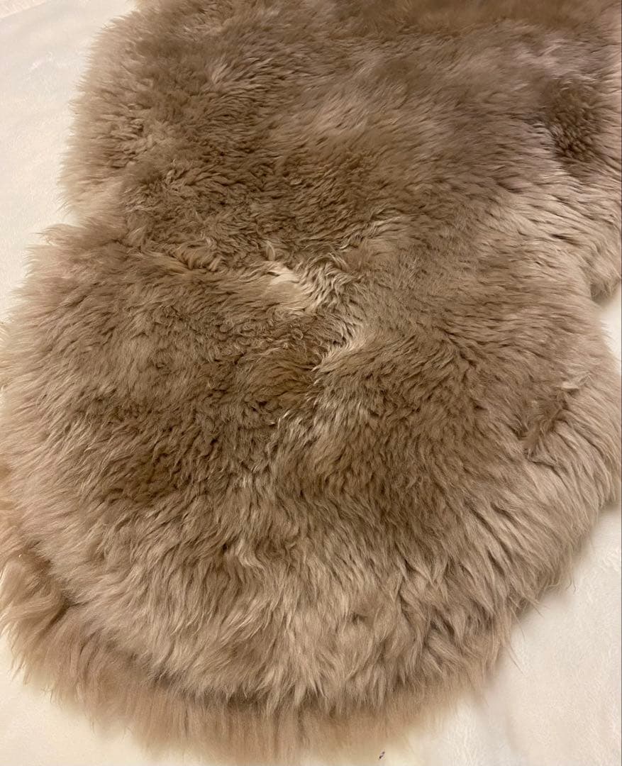 ニチロムートン　ムートンラグ　ニチロ　NICHIRO 羊毛　ブラウン