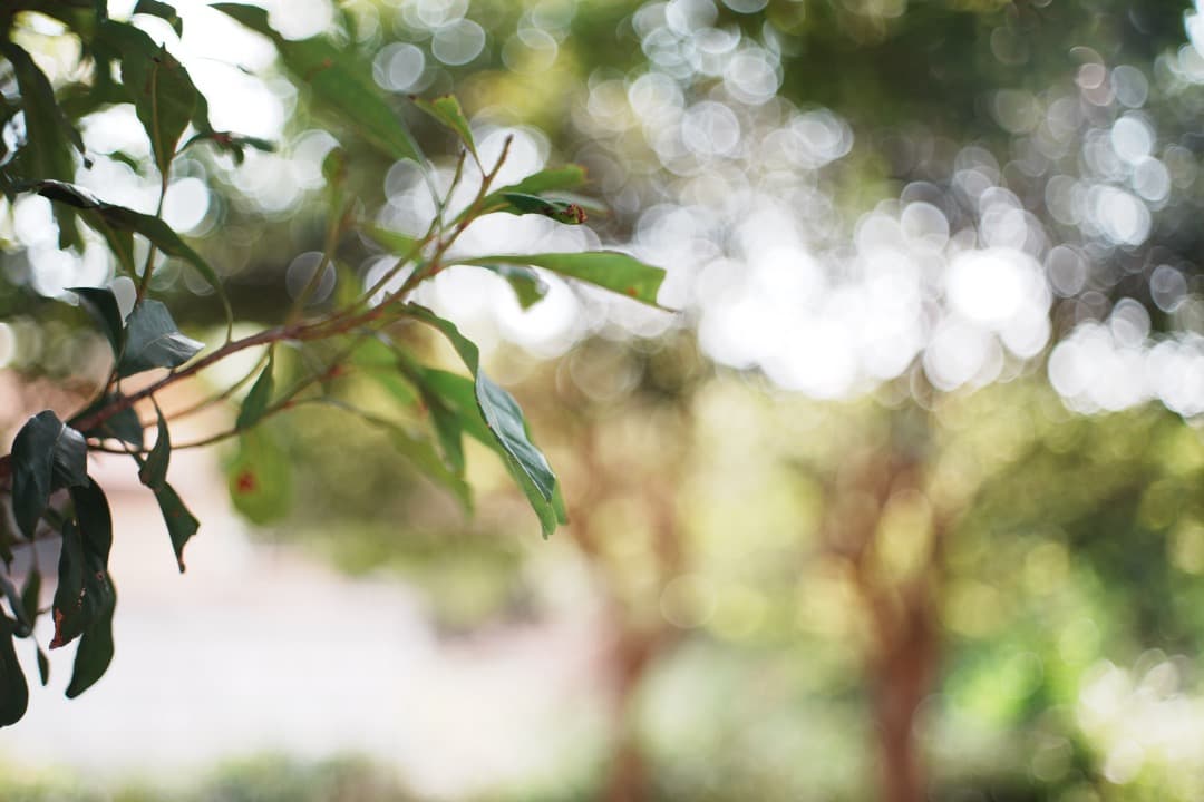 【美品】動作◎ ミノルタ MD ROKKOR 45mm F2 937