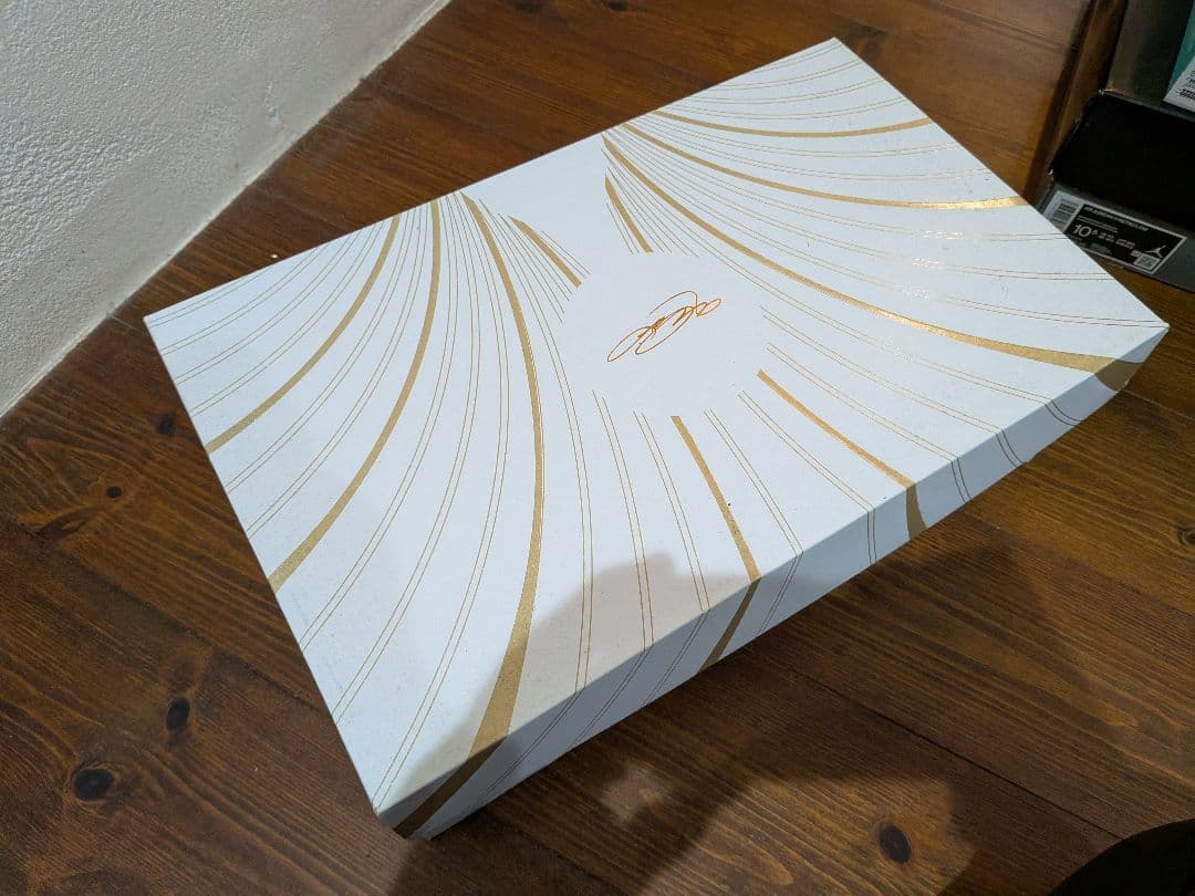 NIKE　LeBron 21 EP クイーン コンク 28.5