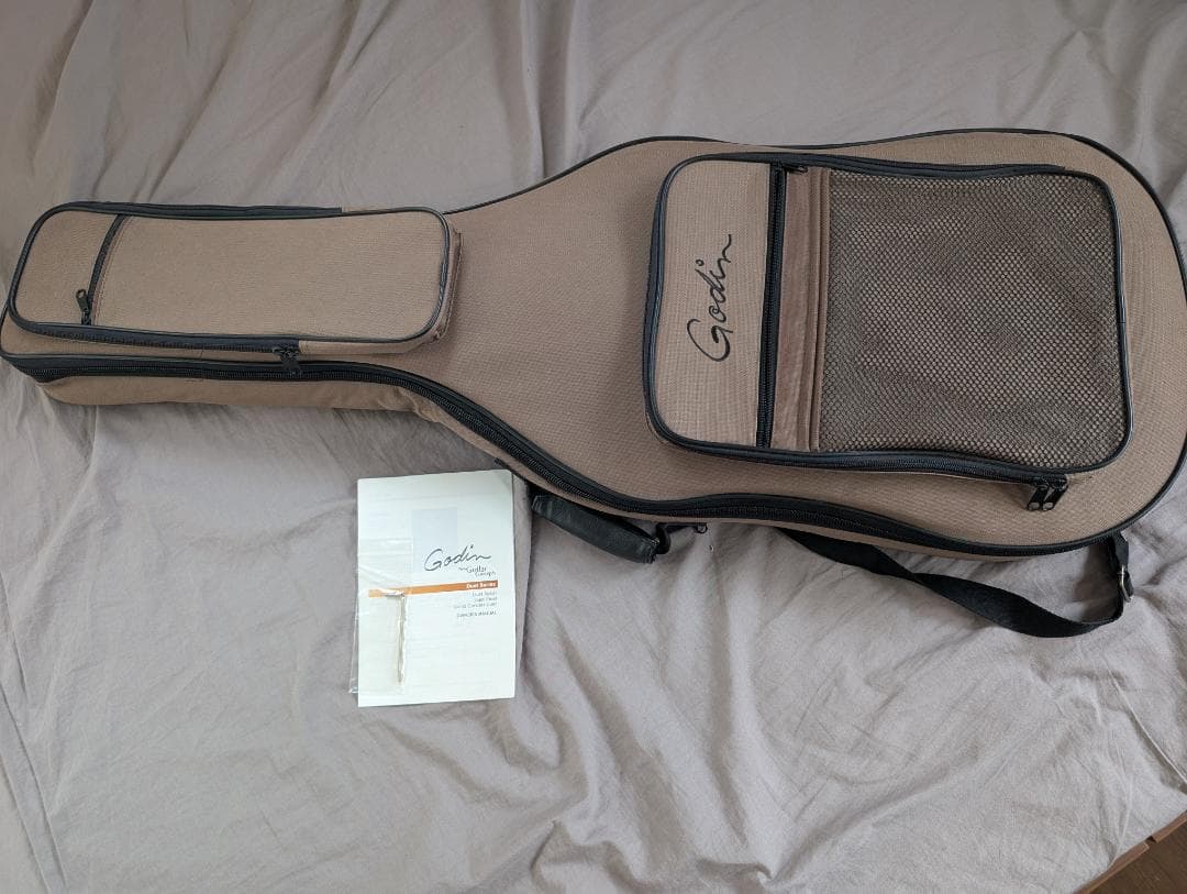 Godin Multiac Steel Duet ゴダン スチール デュエット