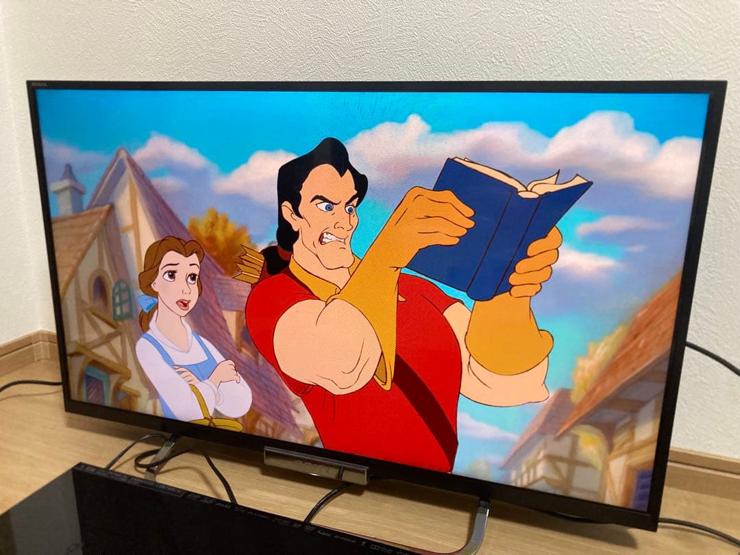 Panasonic BDレコーダー 3TB DMR-BZT830 2013年製