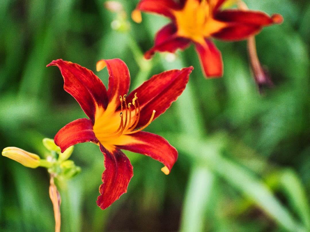 【美品】Panasonic LUMIX 35-100mm F2.8