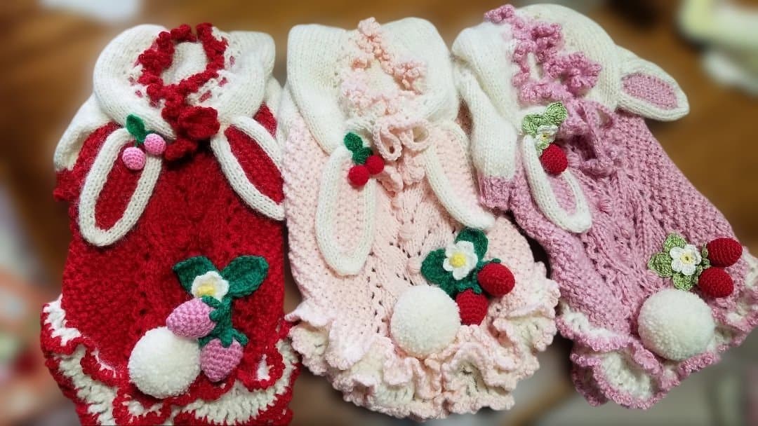 犬服♪手編み♪3名様オーダー受付終了致しましたm(__)m