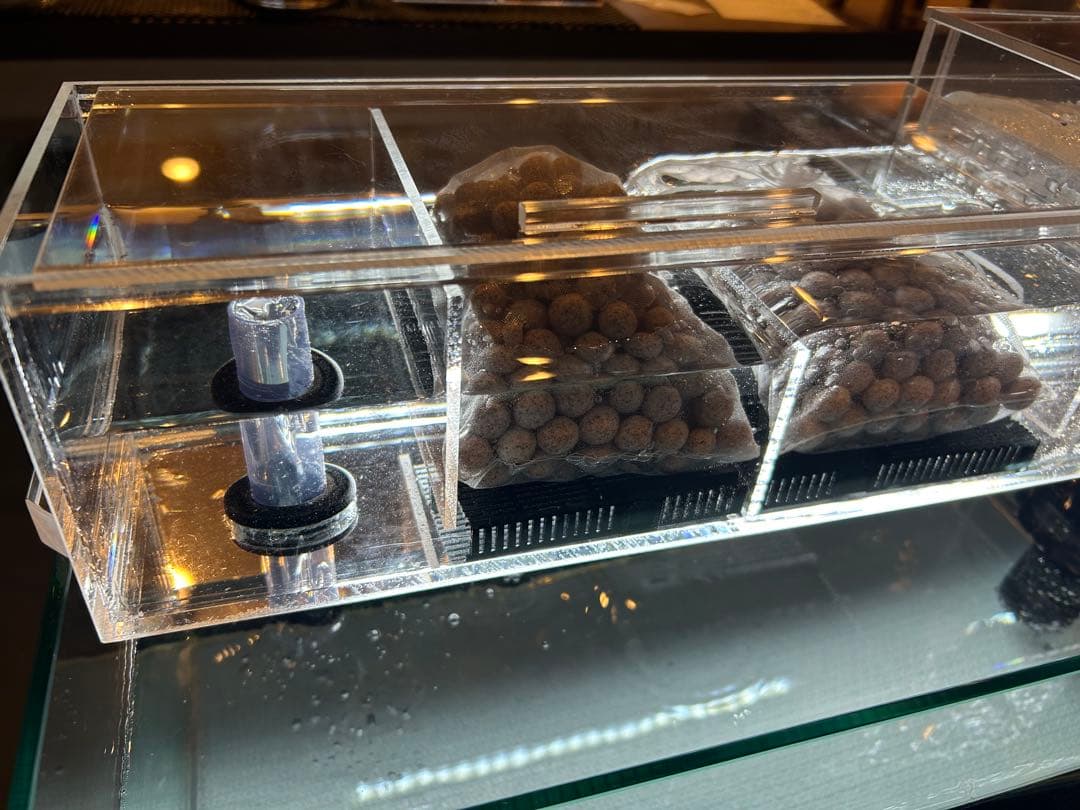 まりもアクリル水槽