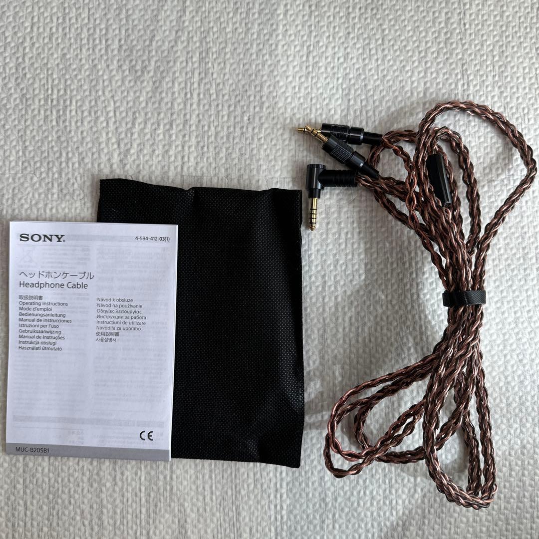 ソニー ウォークマン NW-WM1AM2 4点セット