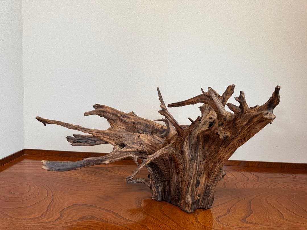 とても美しい流木　特大　水槽　インテリア　美術品　アクアリウム　中庭　玄関