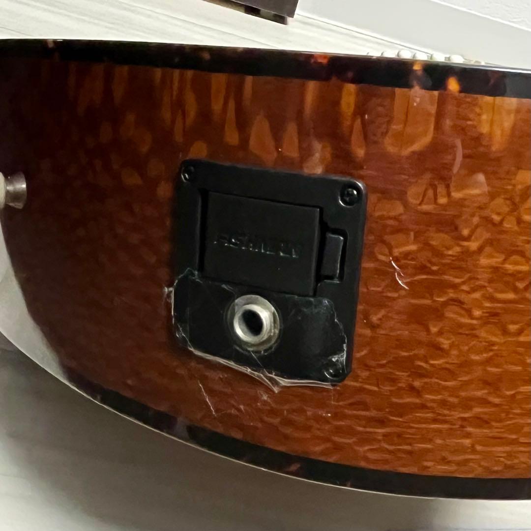 Fender FA-SERIES 345 エレアコ