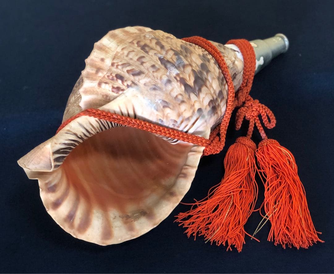 《レ》約41㎝ 修験道法螺貝 紐付 山伏 ほら貝 貝笛 251118え3