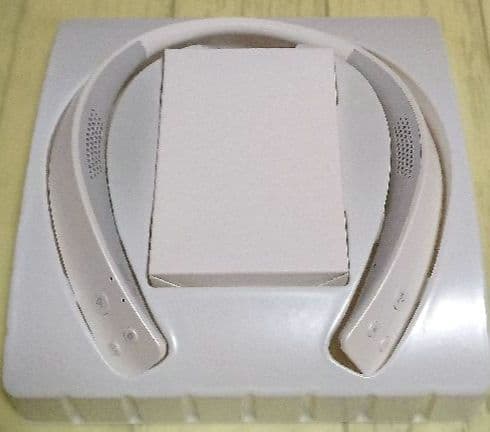 Panasonic SC-WN10-W ネックスピーカー