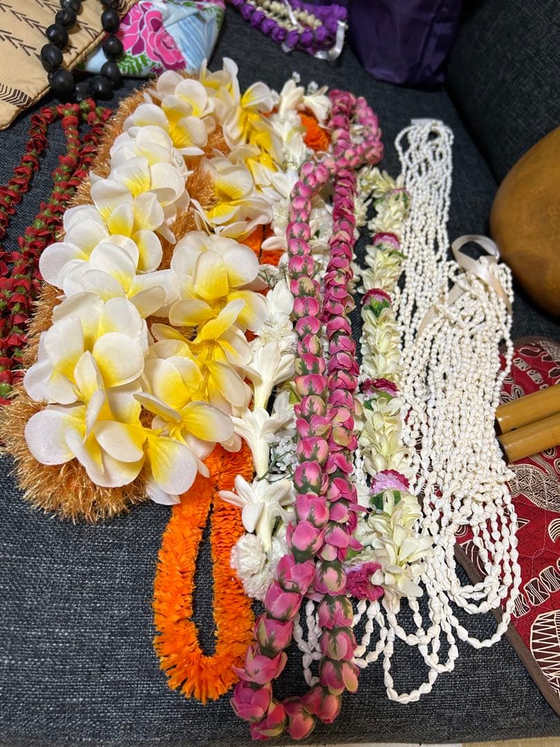 イプヘケ、プイリ(ケース)付き♪